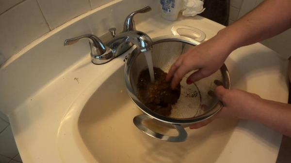 Laylaleescat.com (Layla Lee) Treasure Hunt [FullHD 1080p] Amateur, Defecation