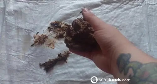 Scatbook (Lady Phoenix) Nutrito dalle mie mani [FullHD 1080p]