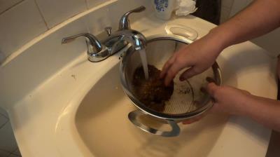 Laylaleescat.com (Layla Lee) Treasure Hunt [FullHD 1080p] Amateur, Defecation