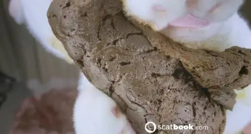 Scatbook (SweetBettyParlour) Tea Party and the Sweets [FullHD 1080p]