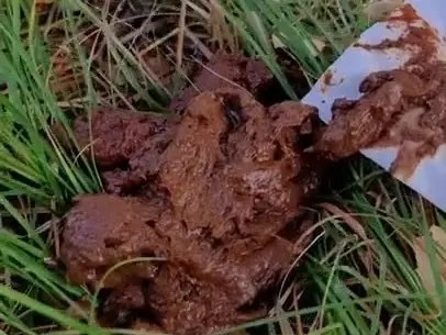 Scatbook (Scatlina) I eat someone elses shit in the woods [SD]