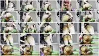 Defecation (KnkyKttn97) Pee And DATM [FullHD 1080p] Solo, Shitting Ass Screenshot 1
