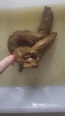 DarkFans.com (Domina Marbella) Toilet Pov - Hoy He Hecho Este Delicioso Pastel De Mierda [UltraHD 2K] Solo, Toilet Slavery