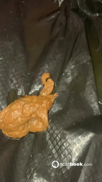 Scatbook.com (Aurora Jolie) Hairy Pooping Butthole [SD] Poop, Amateur