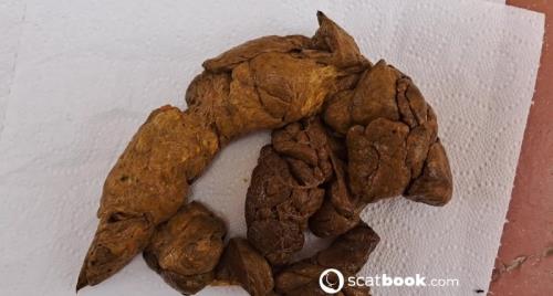 Scatbook (Goddess Madrina) Une kg de merde qui en veux [FullHD 1080p]
