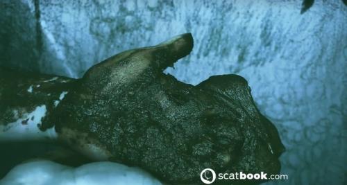 Scatbook (SweetBettyParlour) I CAN touch YOU with IT! [HD 720p]