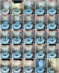 Scatshop.com (Allura) Perfect Textured Poop On Toilet [SD] Amateur, Scat Screenshot 1