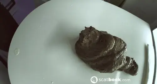 Scatbook (SweetBettyParlour) Two in One EnormousShitBall x PooWaffles [FullHD 1080p]