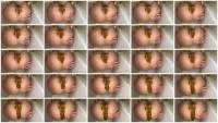 Scatbook.com (Filthy Skye) Shitting Girl 93 [HD 720p] Defecation, Scat Wife Screenshot 1