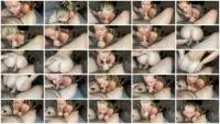 Scatbook.com (Foxness) Dirty Anal and ATM [HD 720p] Amateur, Defecation Screenshot 1