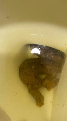 Scatshop.com (Brownsensations) Shitting On The Bathroom Floor At Work [SD] Poop, Big Ass