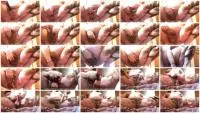 Scatshop.com (Allura) Pregnant Dirty Slut Allura Makes a Mess Part 2 [FullHD 1080p] Amateur, Scat Screenshot 1