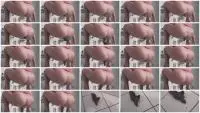 Filthygrid.com (Mia Skye aka MiaRoxxx) HUGE Brown Gold [HD 720p] Germany, Dirty Anal Screenshot 1