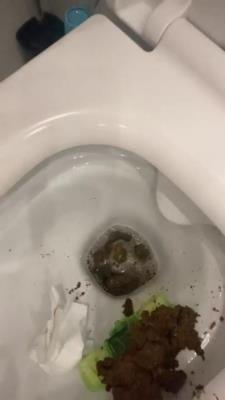 Scatbook.com (Mistress Jardena) Daily portion of shit for my bitches [SD] Kaviar, Humiliation