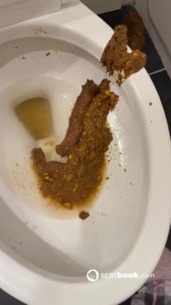 Scatbook (Bossy Delilah) Bossys Bathroom Blunder A Splattered Catastrophe [SD] USA, Kaviar