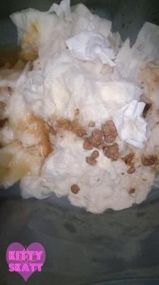 Scatbook.com (Kitty Skatt) Festival Constipation [UltraHD 2K] Solo, Dirty Anal