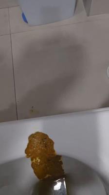 Scatbook (Miss Lith) Scatting Girl 22 [SD] Spain, Toilet Slavery