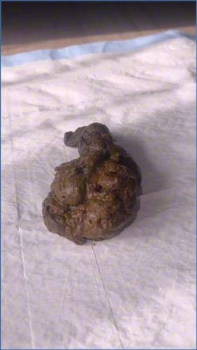 Miss Raines Watersports Submission in HD 720p