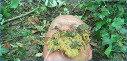 Download German Cruel Takes Over as Your Full Toilet - HD Scat-Slaves.net