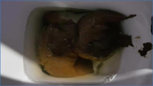 Christmas Fetish Fun with Thefartbabes in FullHD