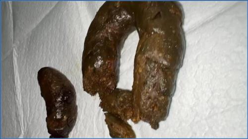 Miss Raines Shines in HD Kaviar and Watersports Scene – Scat-Slaves poster