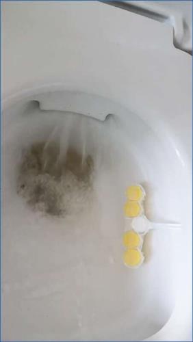 Intense Fetish with Strict Jardena in UltraHD 2K on Scat-Fetish.com