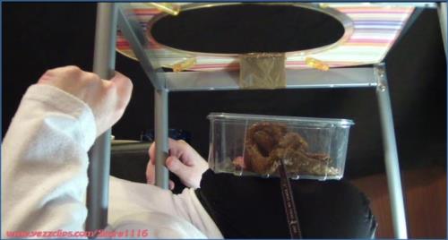 Teens Femdom Scat in USA FullHD 1080p: Chocolate Cake for Us and the Loser – Scat-Slaves poster