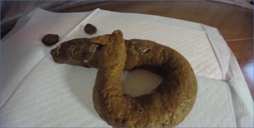 Blonde Goddess's Intense Verbal Humiliation in UltraHD 4K – Scat-Slaves poster