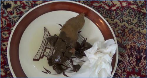 TeganBrooke Solo Scat Smearing Experience [FullHD 1080p]