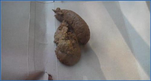 Jessica Valentino Extreme Solo Scat & Pissing Compilation [SiteRip]