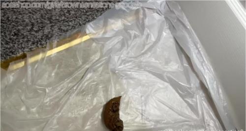 Download BrownSensation8 Intense Masturbation and Toy Play HD 720p Scat-Slaves.net