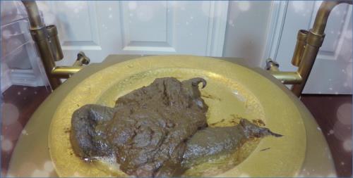 Rachelle2 Dominates in UltraHD Scat Scene Devour The Shit From My Goddess Ass 4