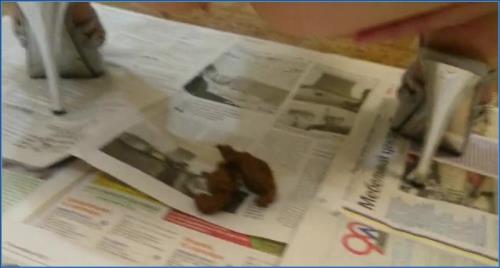 Natalya's Brown Wife Shit Vid in HD