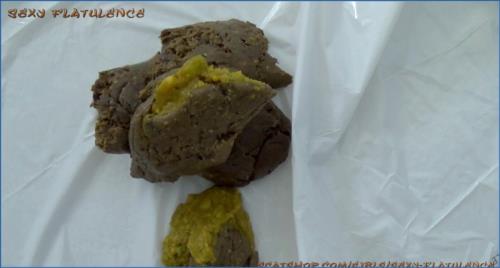 FullHD 1080p Peeing and Scat Fetish Video from Scat-Shop and Clips4Sale – Scat-Slaves poster