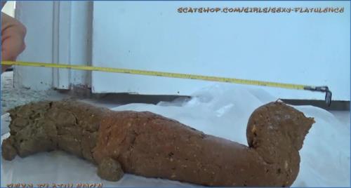 Download Extreme Scat and Shitting with SexyFlatulence in Monster Log FullHD 1080p Scat-Slaves.net
