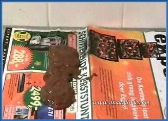 Ana Didovic Delivers Intense Scat and Anal Scene in Explosive SiteRip – Scat-Slaves poster