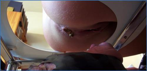 Download Lady Amy and Lady Atropa Dominate in Eat Shit and Vomit Slave HD Scat Femdom Scat-Slaves.net