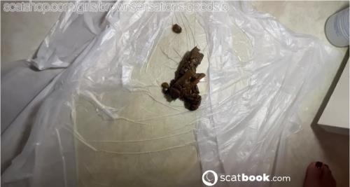 Intense Home Scat and Anal Action by BrownSensation8 in HD 720p – Scat-Slaves poster