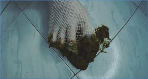 Dirty Feet in Fragrant Stockings Amateur Russian FullHD 1080p Scat-Shop.com – Scat-Slaves poster