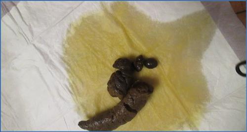 HD 720p Scat and Pee Fetish Video on Scat-Shop.com – Scat-Slaves poster