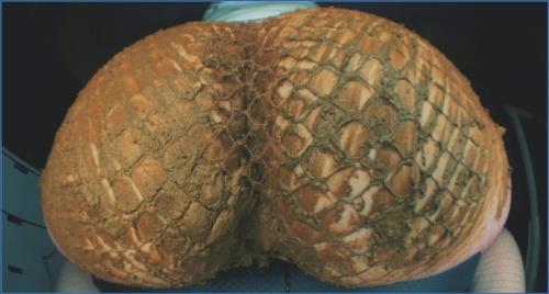 FullHD Russian Amateur Scat Fetish from Scat-Shop.com – Scat-Slaves poster