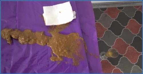 Download Mistress Roberta's Extreme Domination POV in Serving Before Feeding - Download Now Scat-Slaves.net