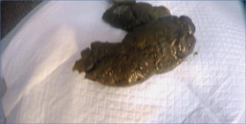 Blonde Goddess's Intense POV Scat in UltraHD 4K – Scat-Slaves poster