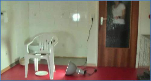 Lady Amira's Brutal Femdom Scat Session in HD 720p