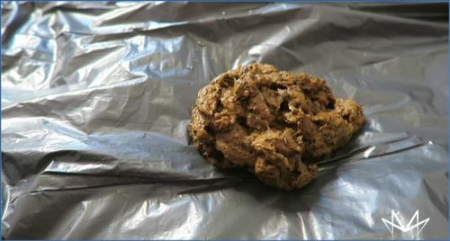 Download German Cruel Extreme Femdom Scat in Full HD Germany Scat-Slaves.net