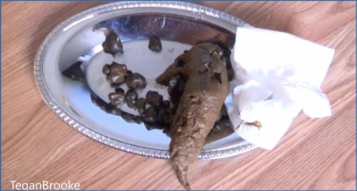 Download Ultimate FullHD 1080p Scat Experience from Scat-Shop.com Scat-Slaves.net