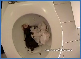 Ana Didovic owns it in pink dress scat vid. HD – Scat-Slaves poster