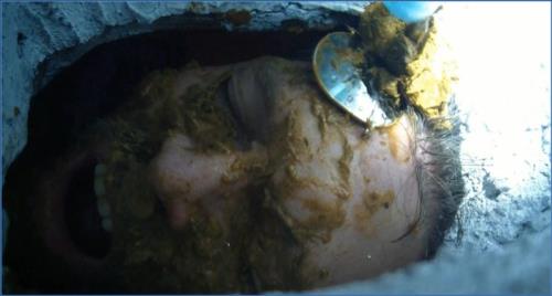 Young-Dominas Scat Femdom: Brutal Scat Play HD 720p – Scat-Slaves poster