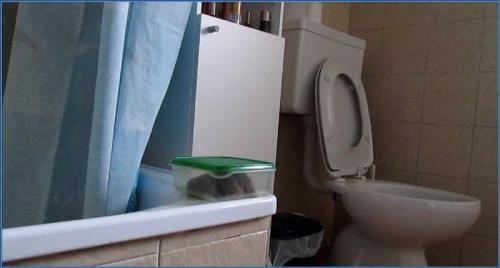 Moana Voglia Unleashes Extreme Scat and Piss in HD 720p Download – Scat-Slaves poster