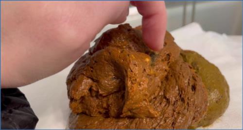 American Sprinkle's Extreme FullHD Scat Solo in GINORMOUS Vacation Dump+Exam – Scat-Slaves poster